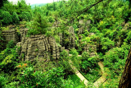 1599207313972551.png 1599207313972551.png