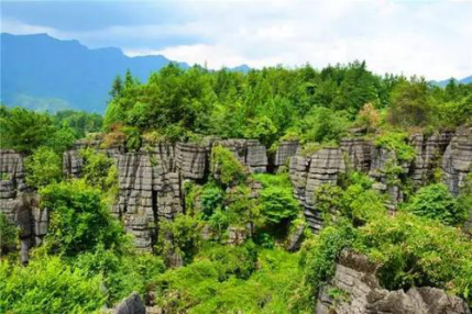 1599207289261941.png 1599207289261941.png